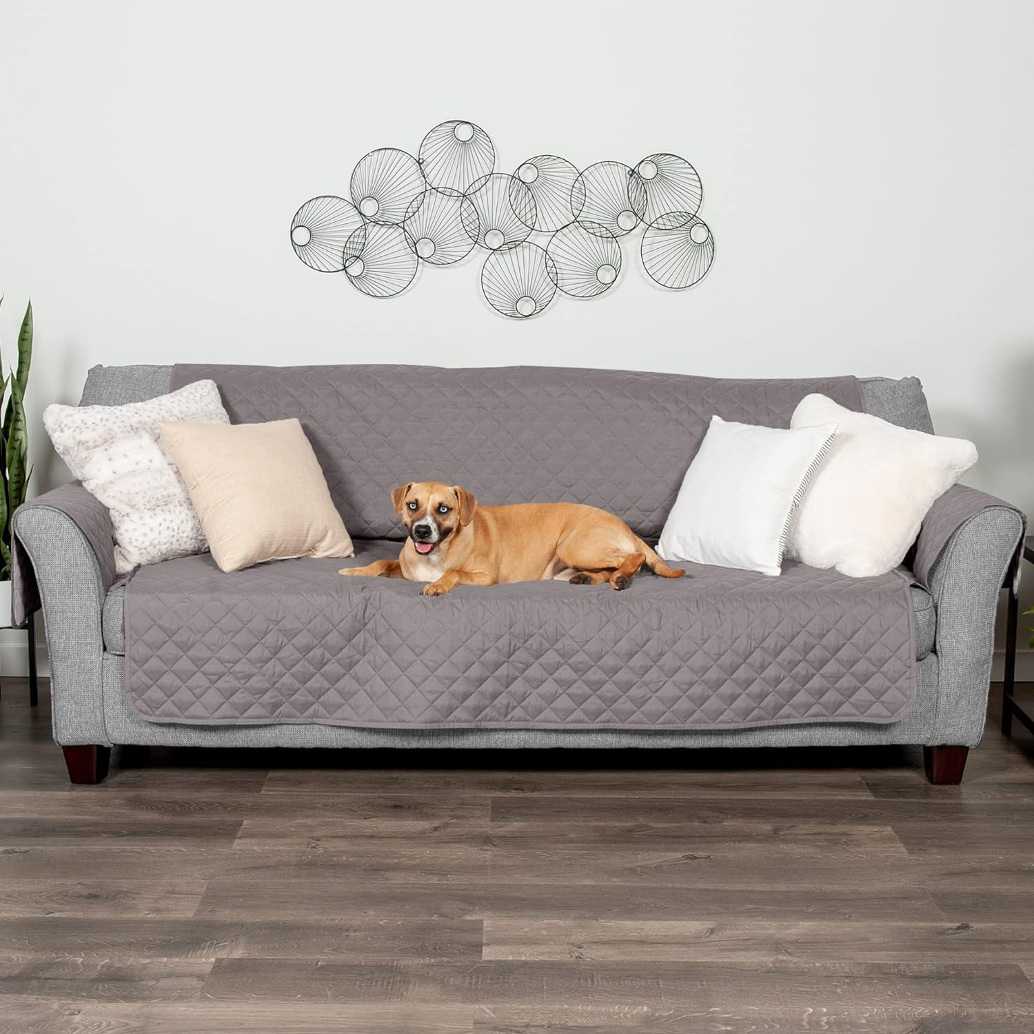 Furniture Cover for Dogs and Cats - Water-Resistant Living Room Furniture Protector for Chairs, Recliners, Loveseats, & Sofas - Multiple Colors, Sizes, & Styles